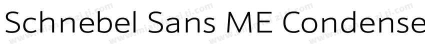 Schnebel Sans ME Condensed Light字体转换
